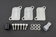 AIS Valve Removal kit with Block Off plates PLE-221